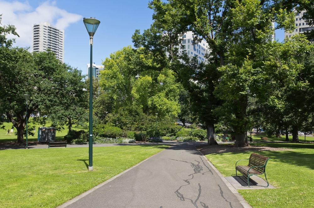 a park with a bench and a street light