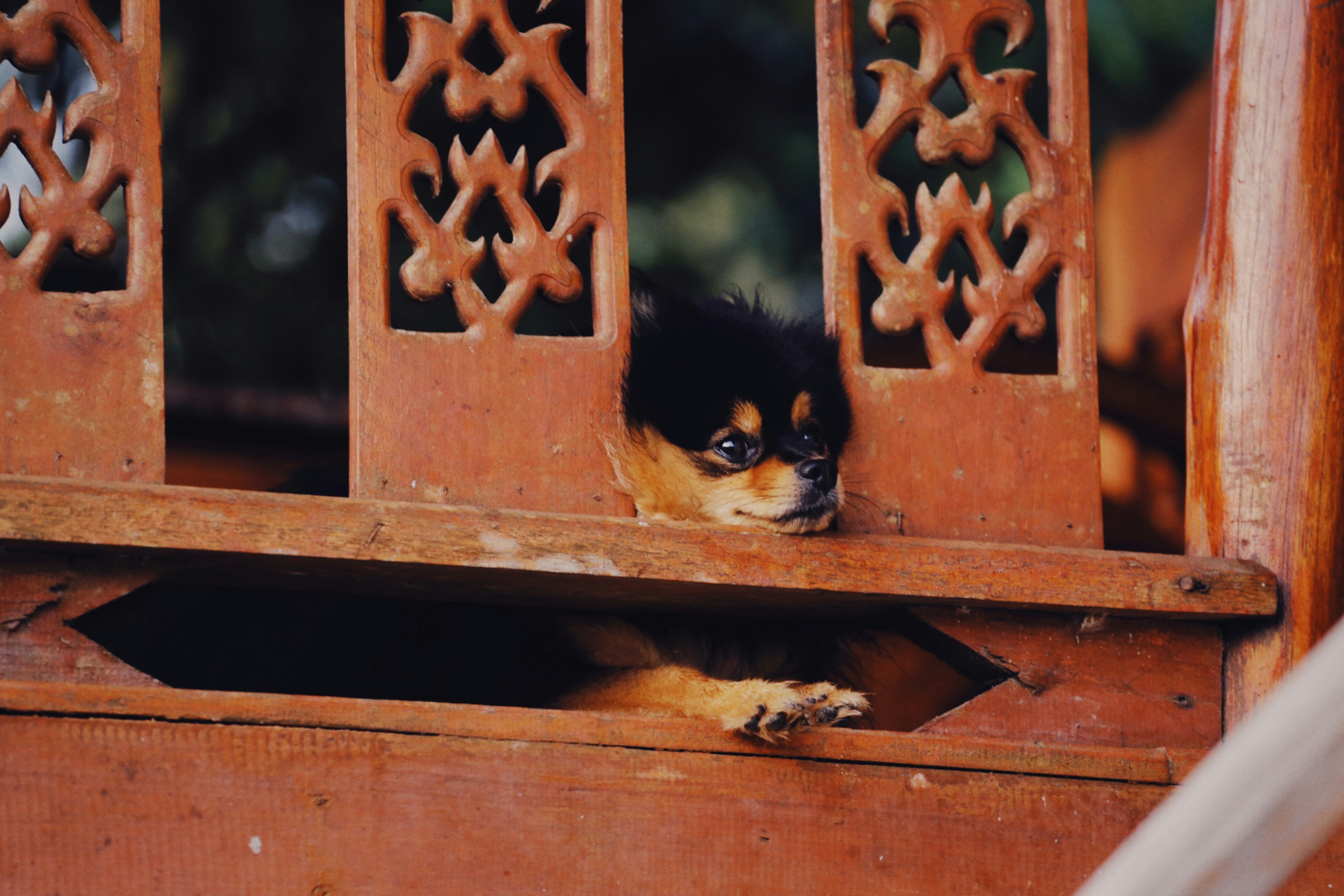 Encouraging Healthy Window Sessions