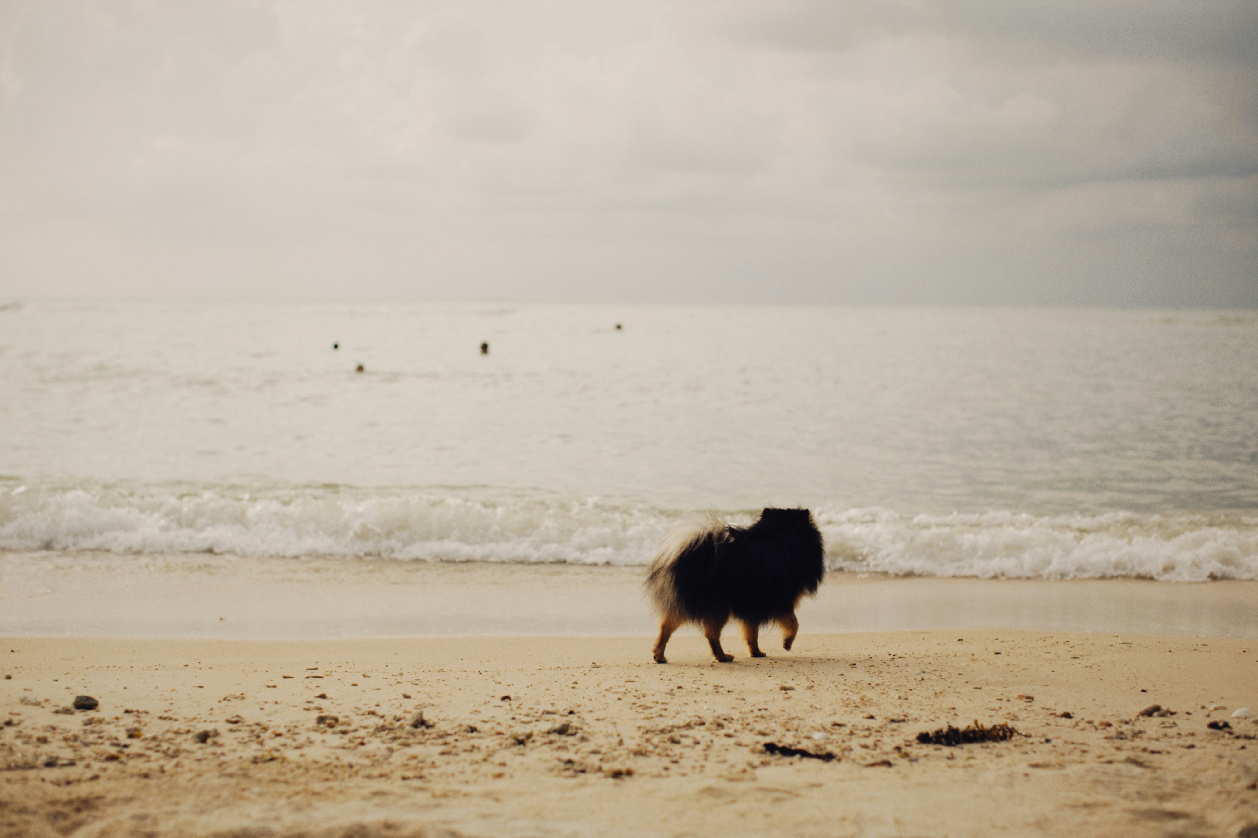 Photo by alexeydemidov