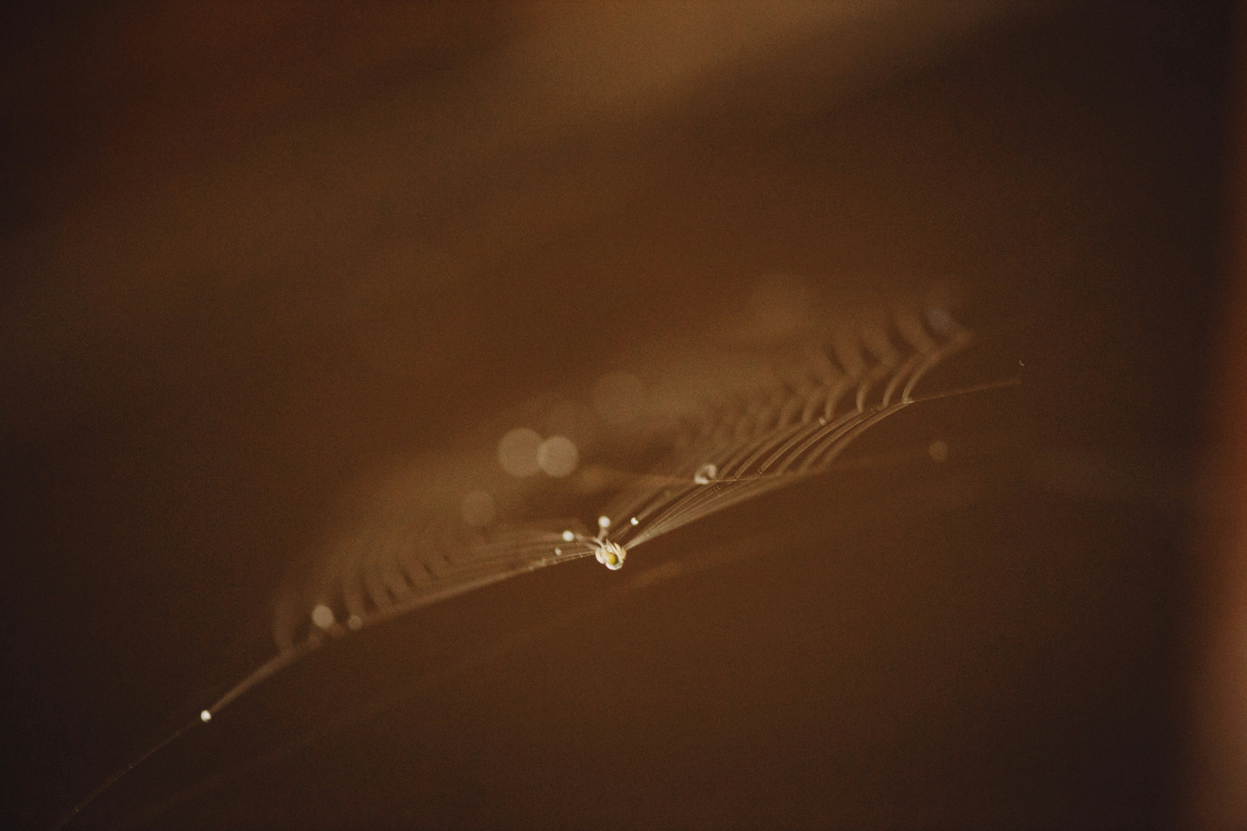 Photo by alexeydemidov