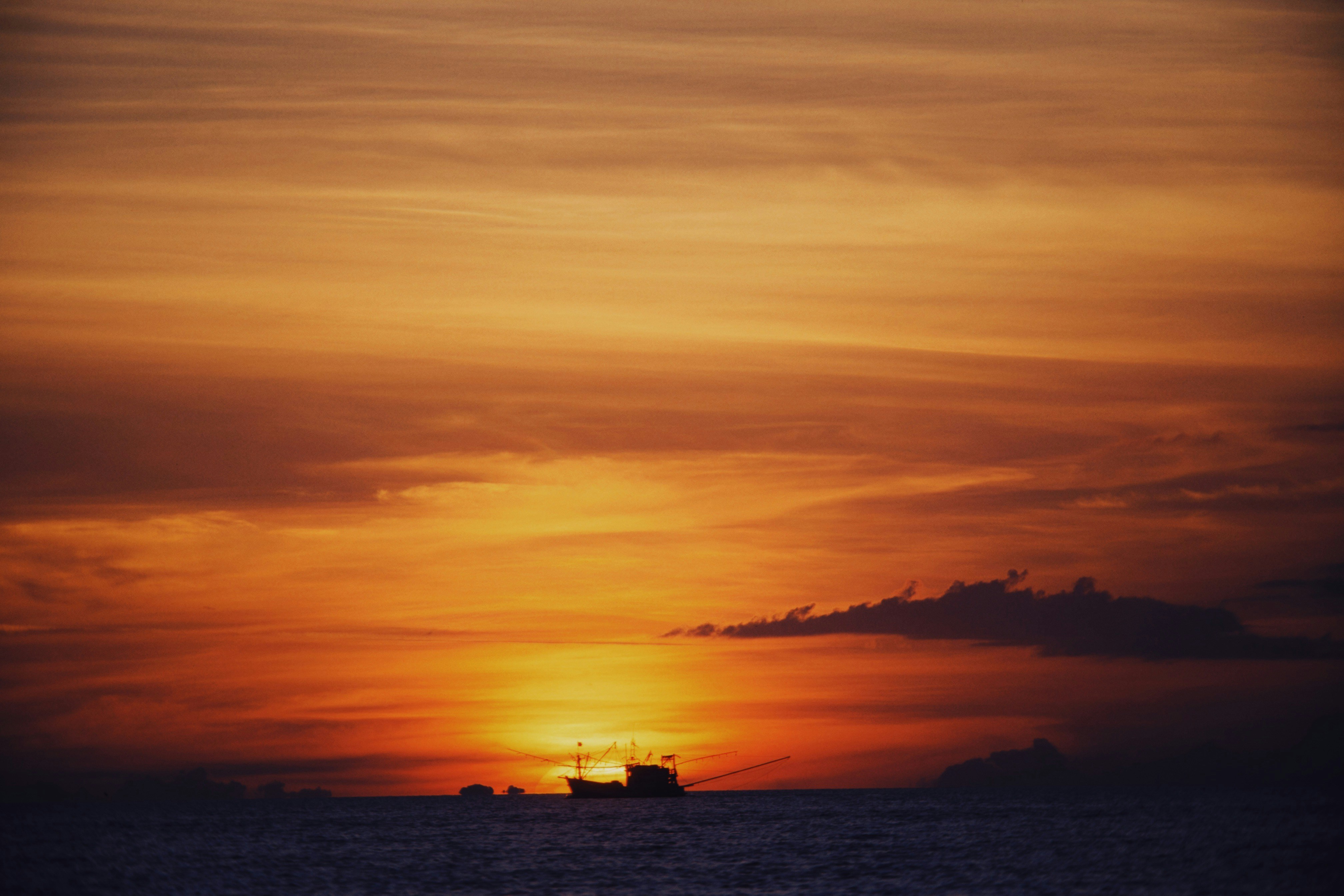 Photo by alexeydemidov