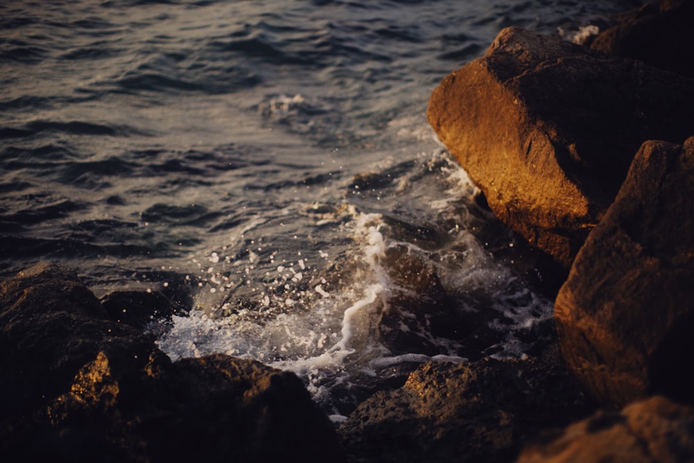 a body of water next to a rocky shore