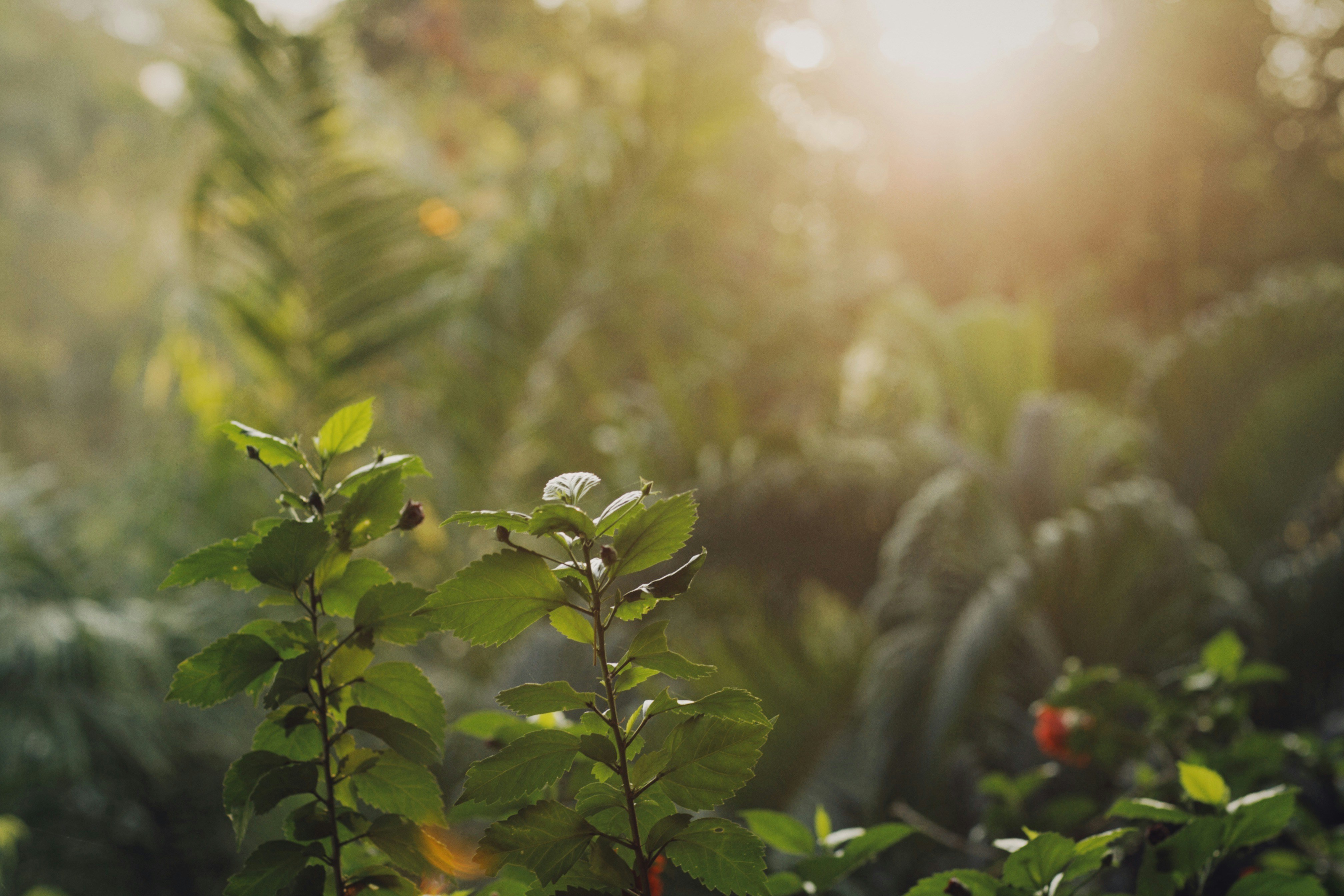 Photo by alexeydemidov