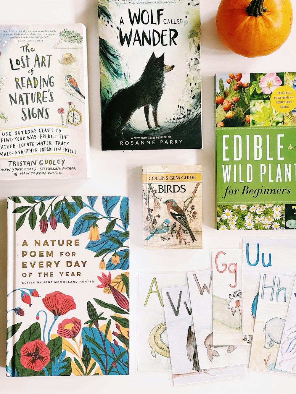 a collection of children's books on a table