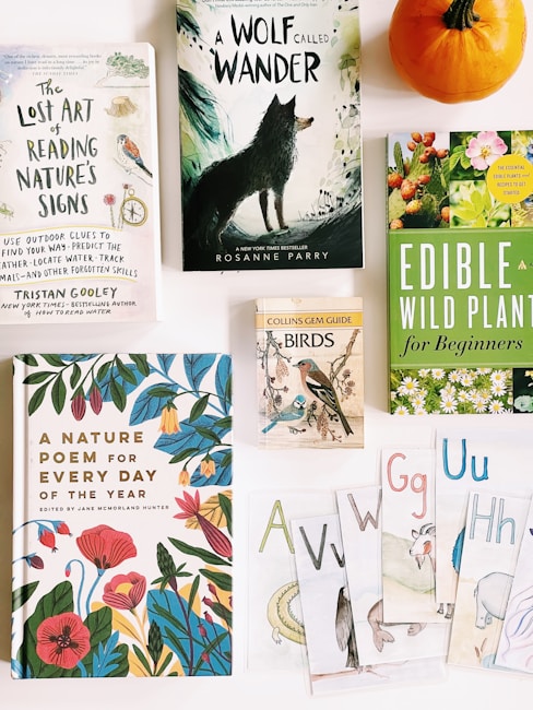A collection of books and cards related to nature lies on a flat surface. The central book features a black wolf on a greenish background. Other titles include topics like reading nature's signs, wild plants, bird guides, and poems. A pumpkin sits in the top right corner, and illustrative cards with letters and drawings are scattered at the bottom.