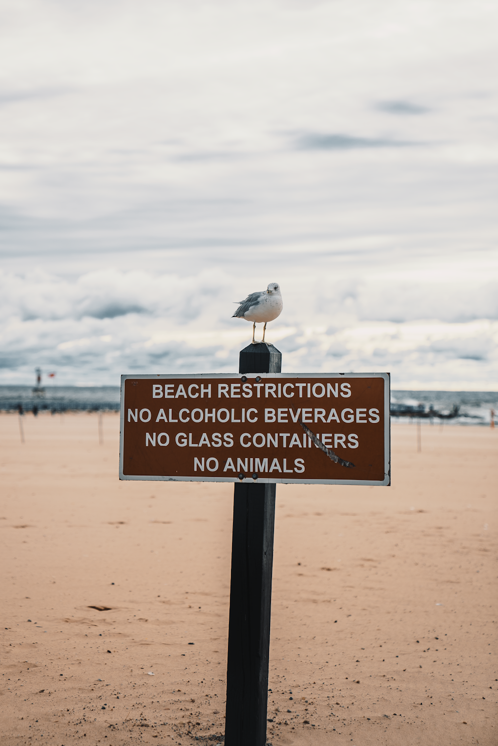 a sign on a post on a beach