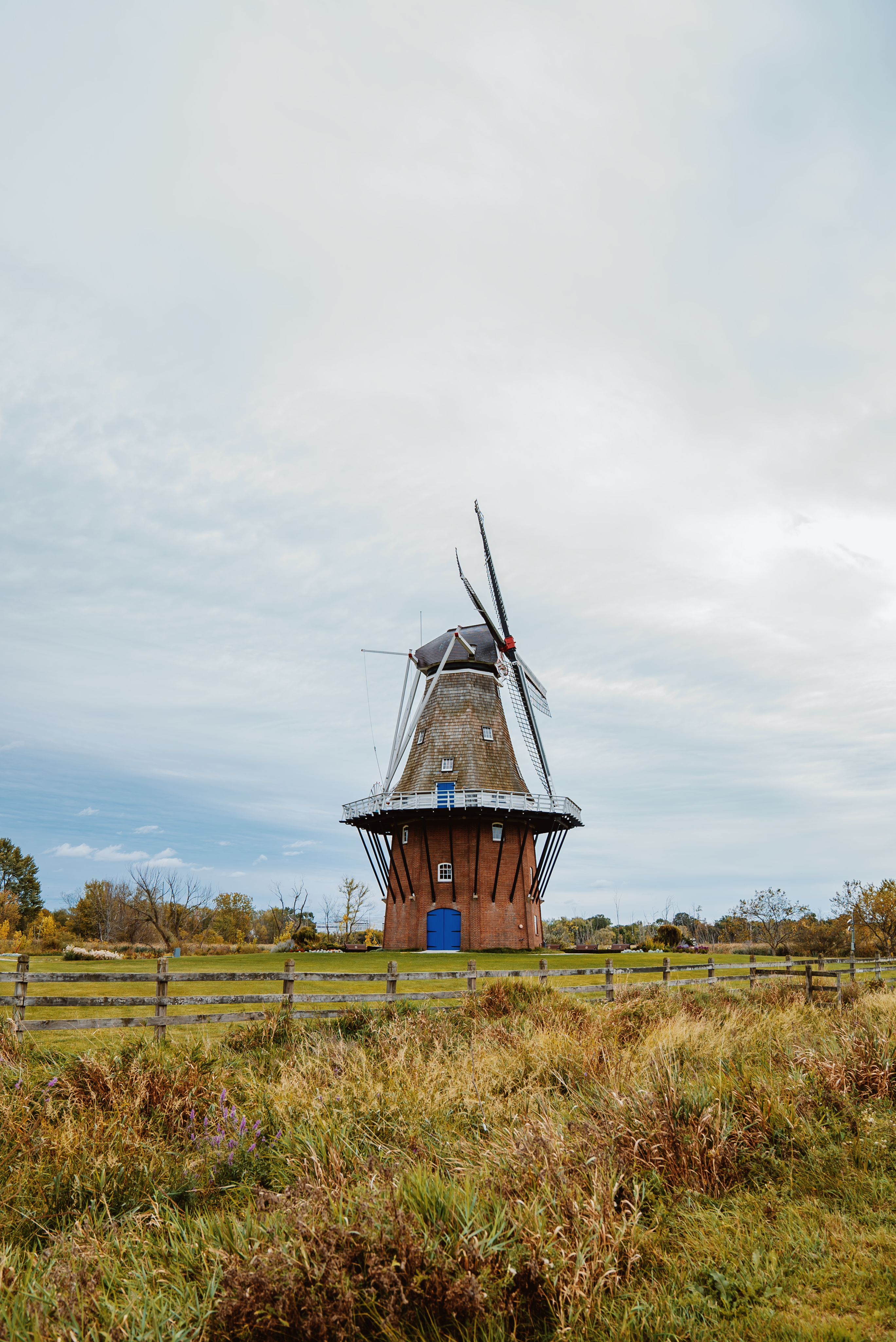 Photo by evanthewise