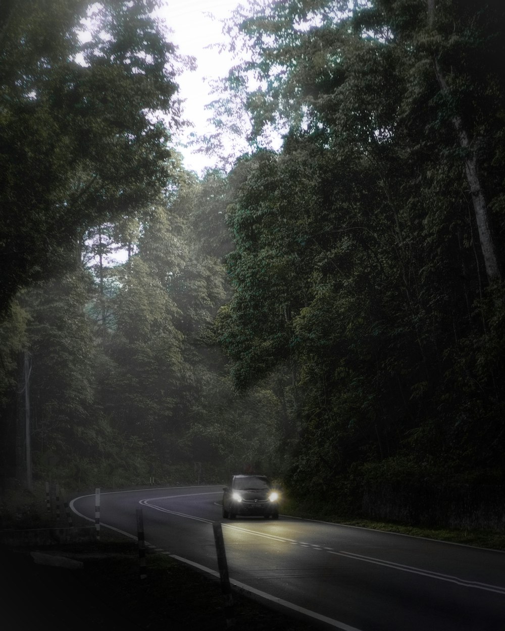 a car driving down a road surrounded by trees