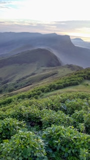 A serene landscape of green hills with mist in the morning.