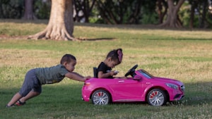 Carrinho Passeio