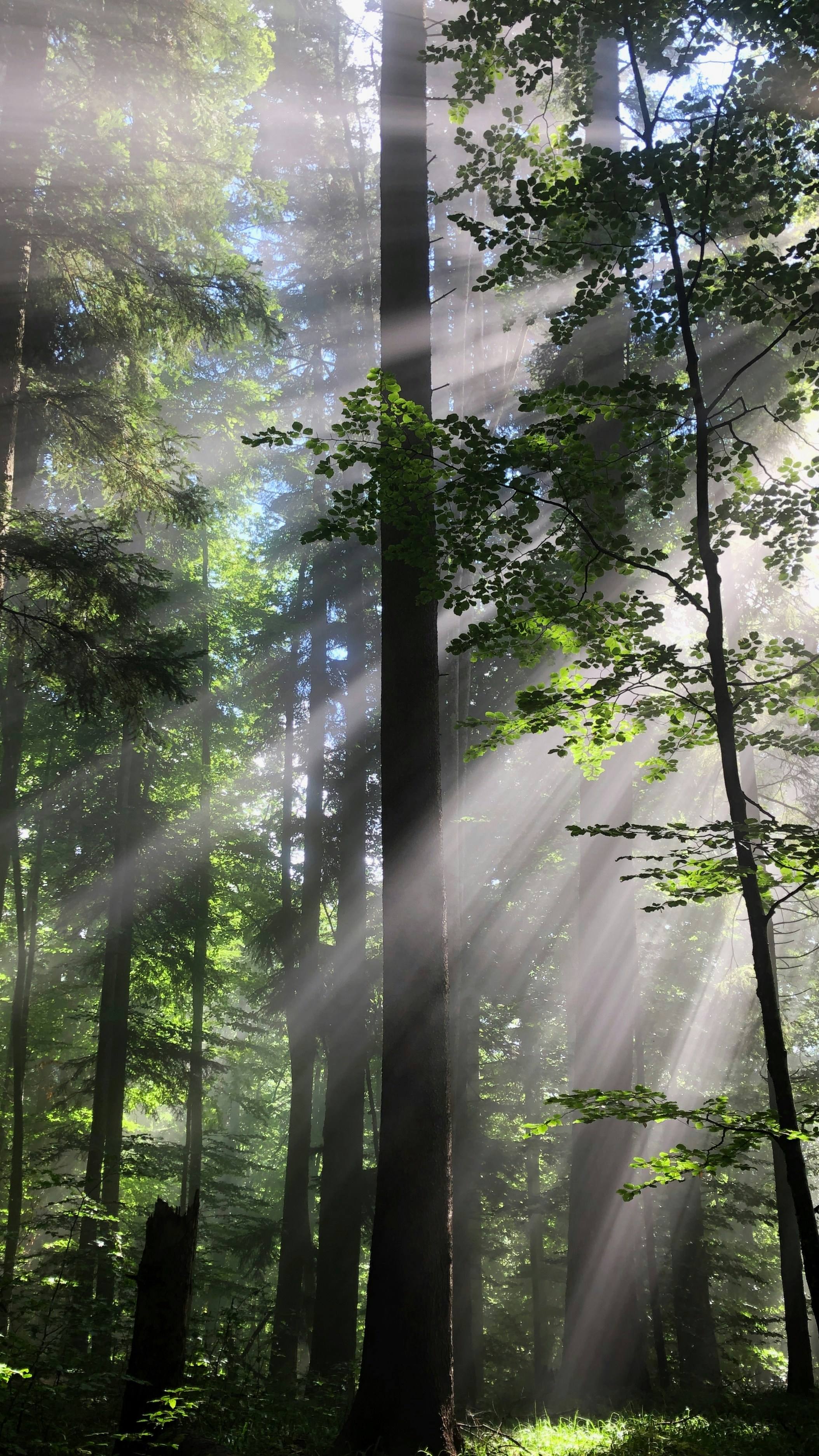 Photo by bullettrainnnnn