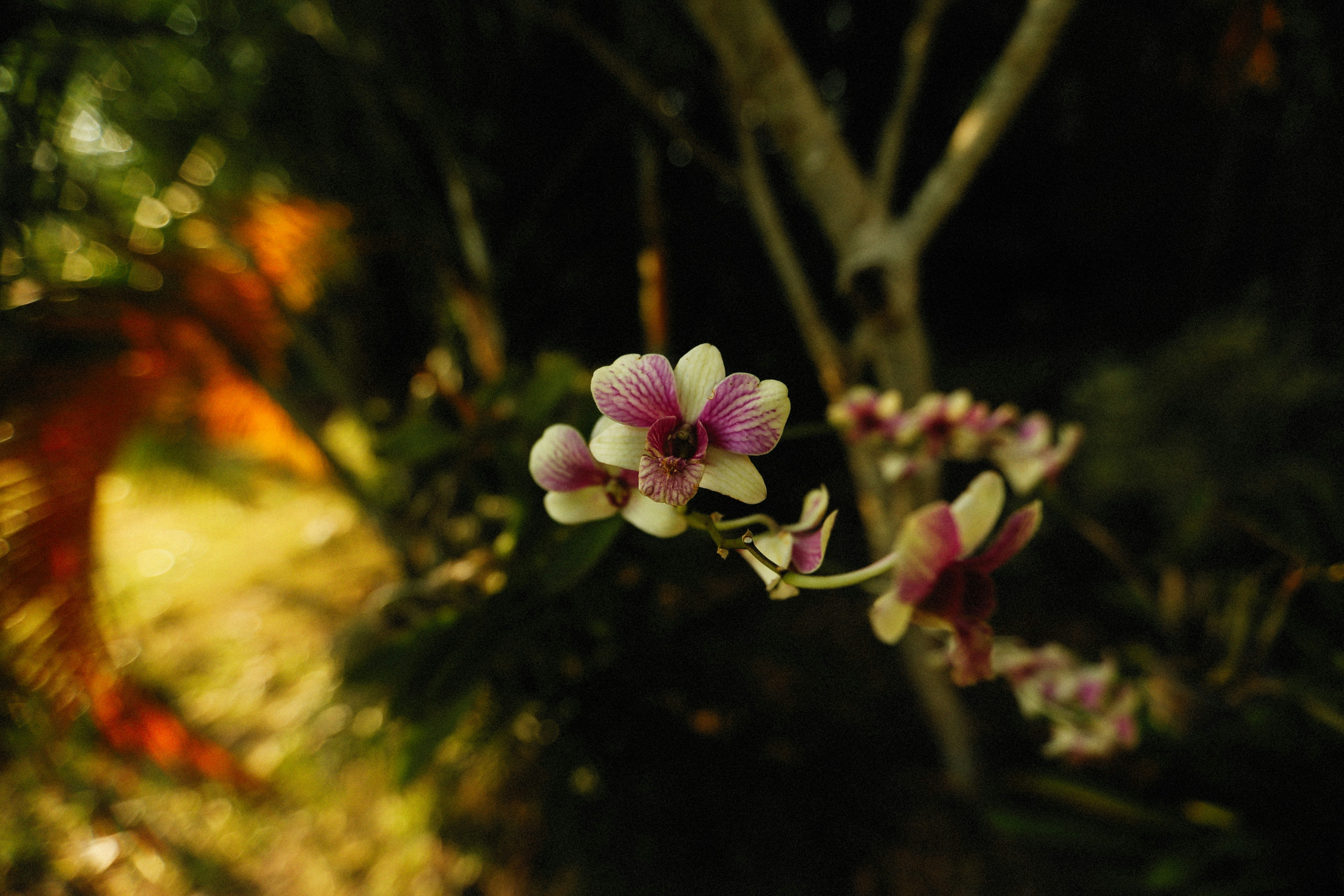 Photo by alexeydemidov