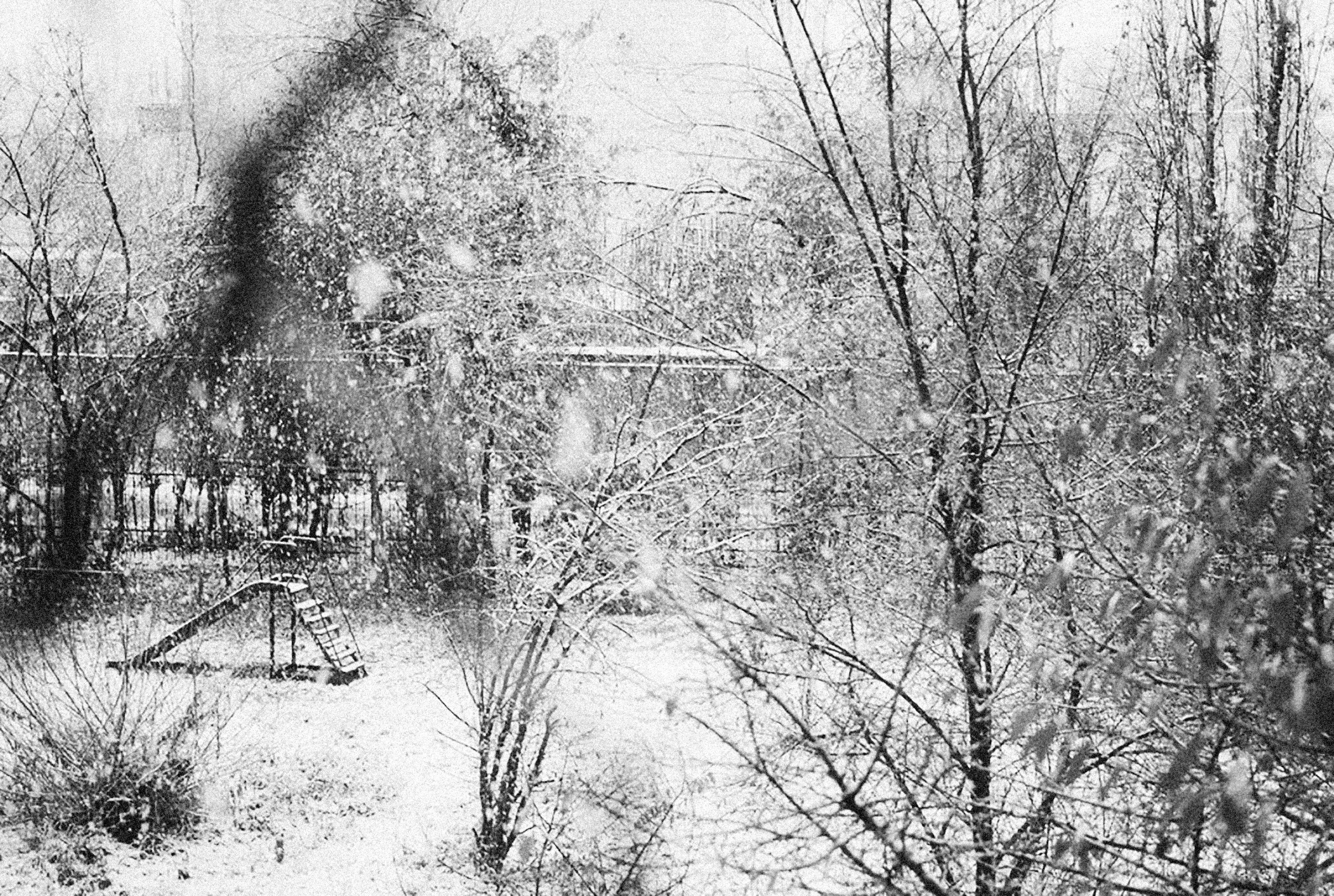 Photo by alexeydemidov