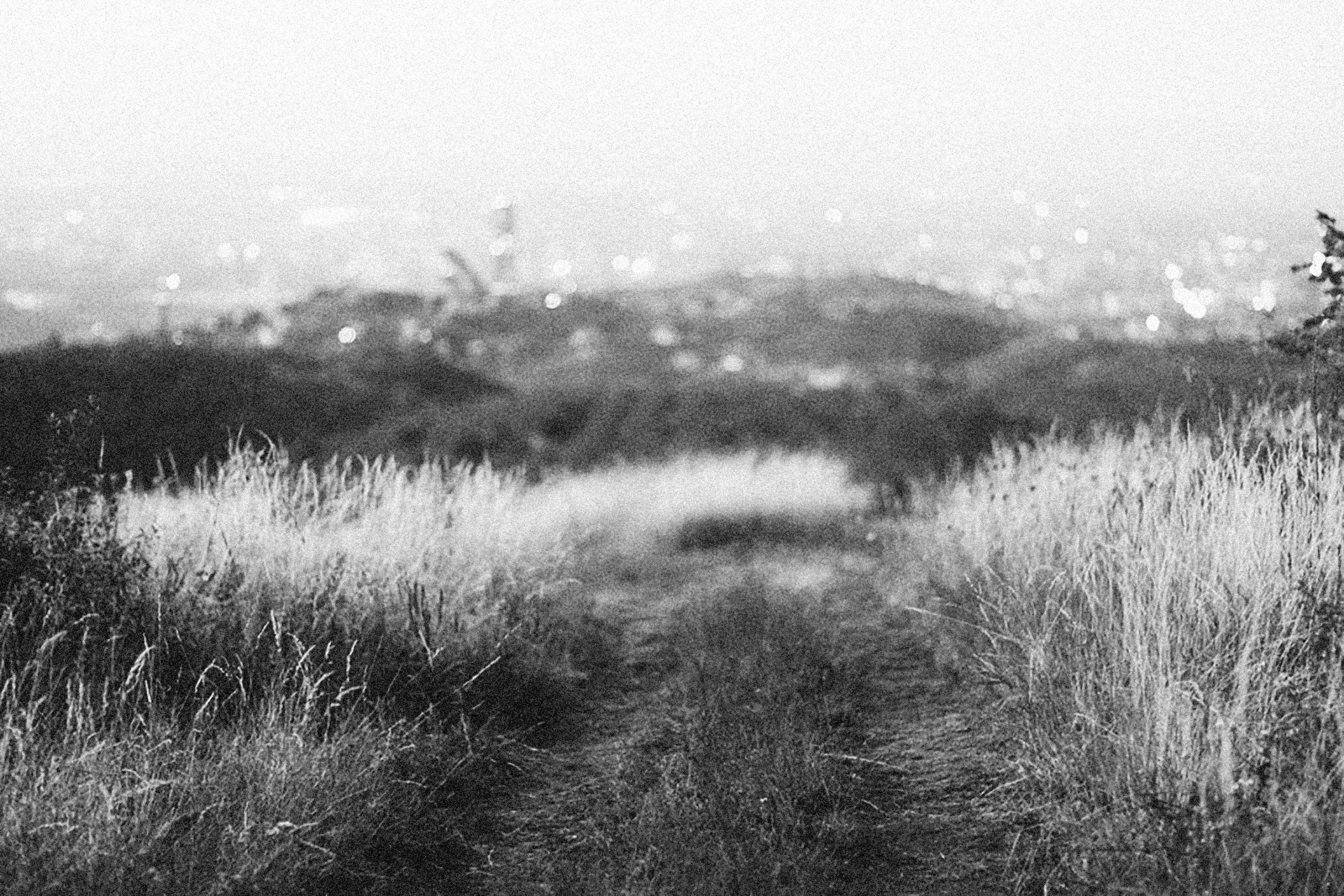 Photo by alexeydemidov