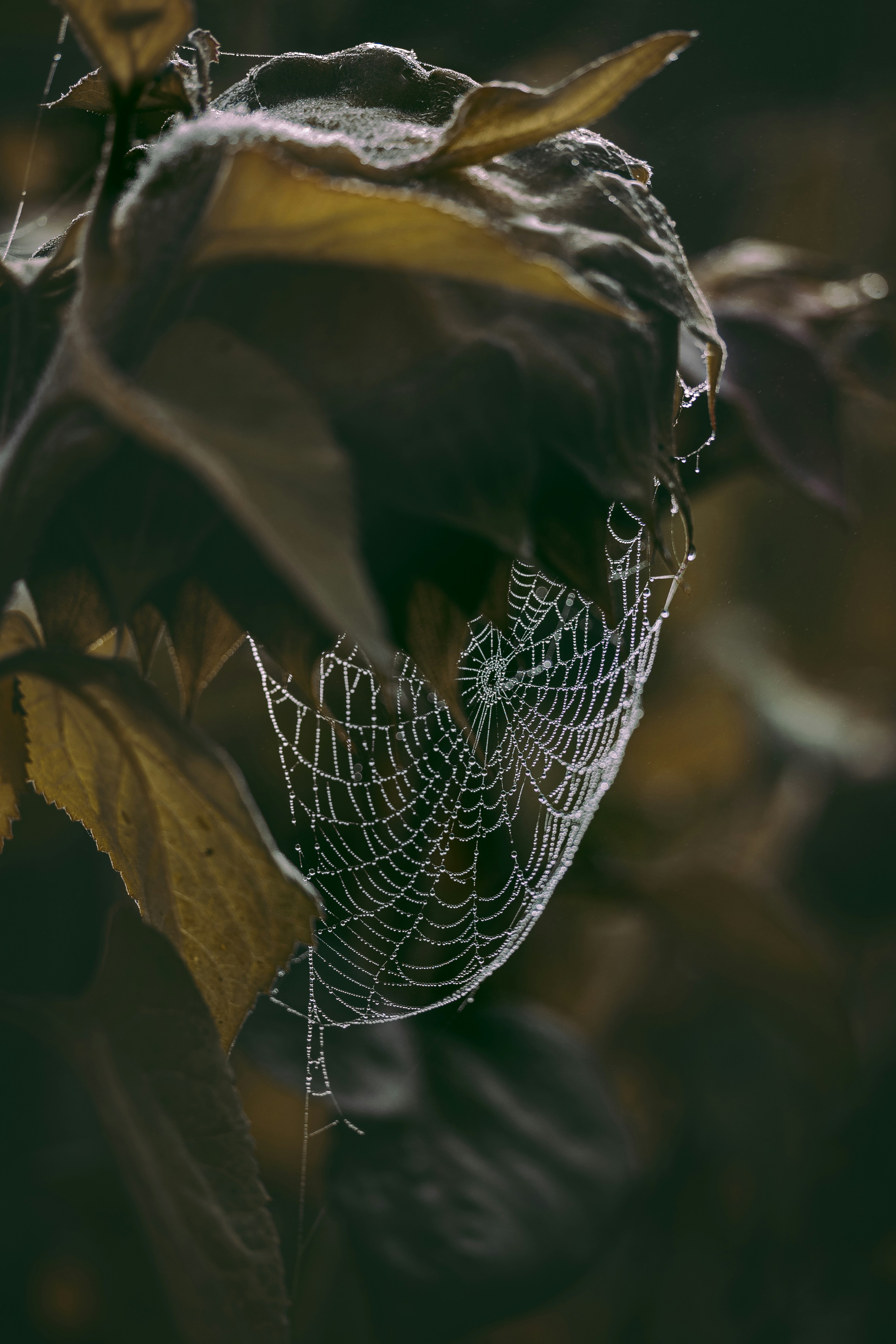 Chronik eines angekündigten Putsches