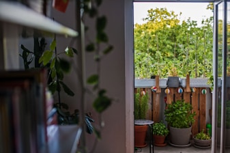 Fresh vegetables and herbs thriving in compact containers on a sunny balcony corner.