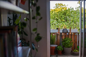 A serene balcony garden with potted plants, fairy lights, and comfortable seating.