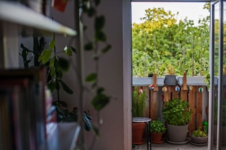 A small balcony area filled with a variety of potted plants, including leafy greens and herbs. There are colorful string lights hanging on a wooden railing. The background features lush green trees, suggesting an outdoor garden setting.