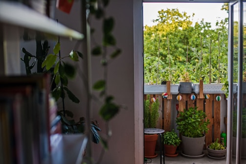 A small balcony area filled with a variety of potted plants, including leafy greens and herbs. There are colorful string lights hanging on a wooden railing. The background features lush green trees, suggesting an outdoor garden setting.