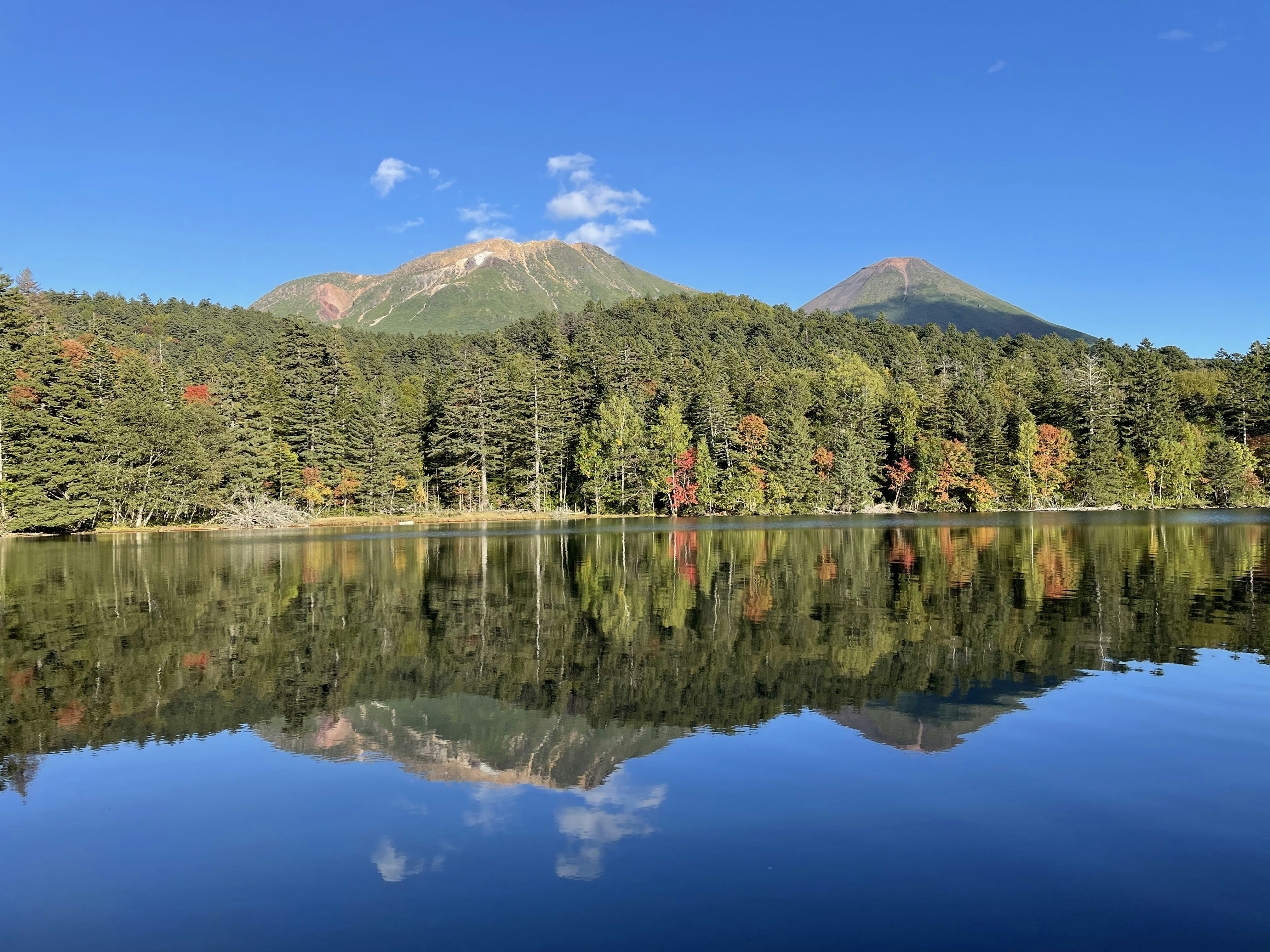 四、降低空运物流成本的策略