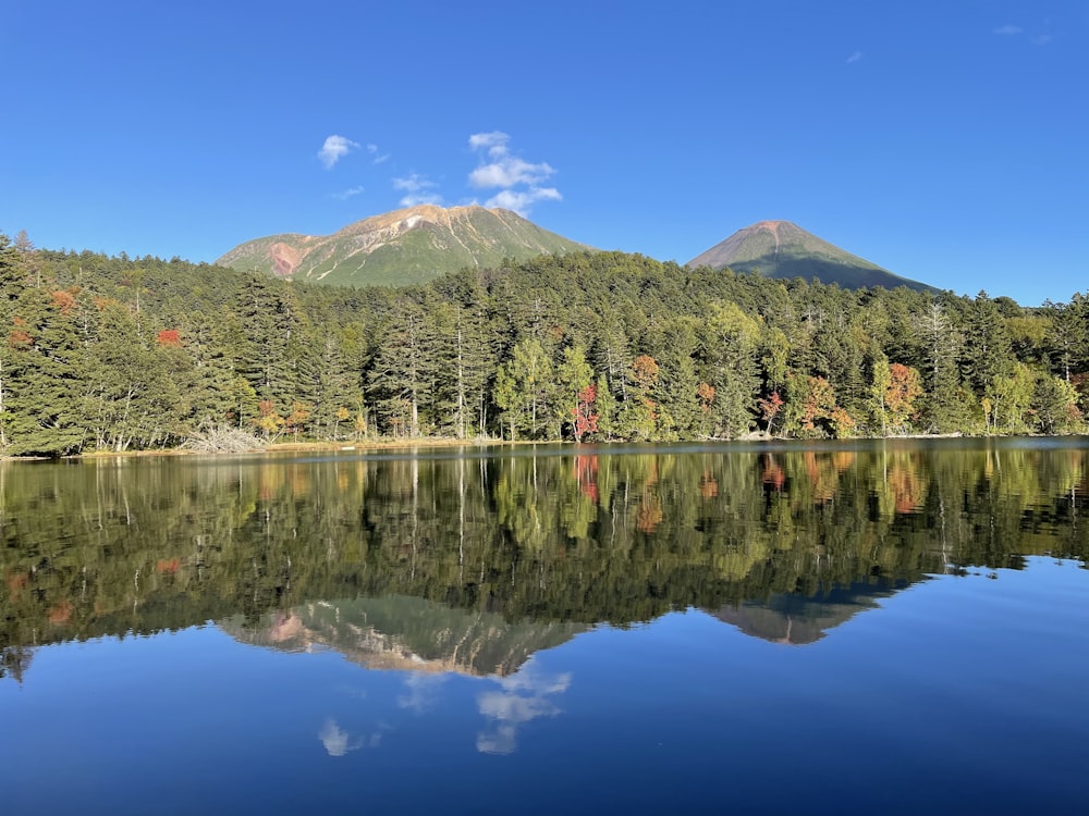 um lago cercado por árvores com uma montanha ao fundo