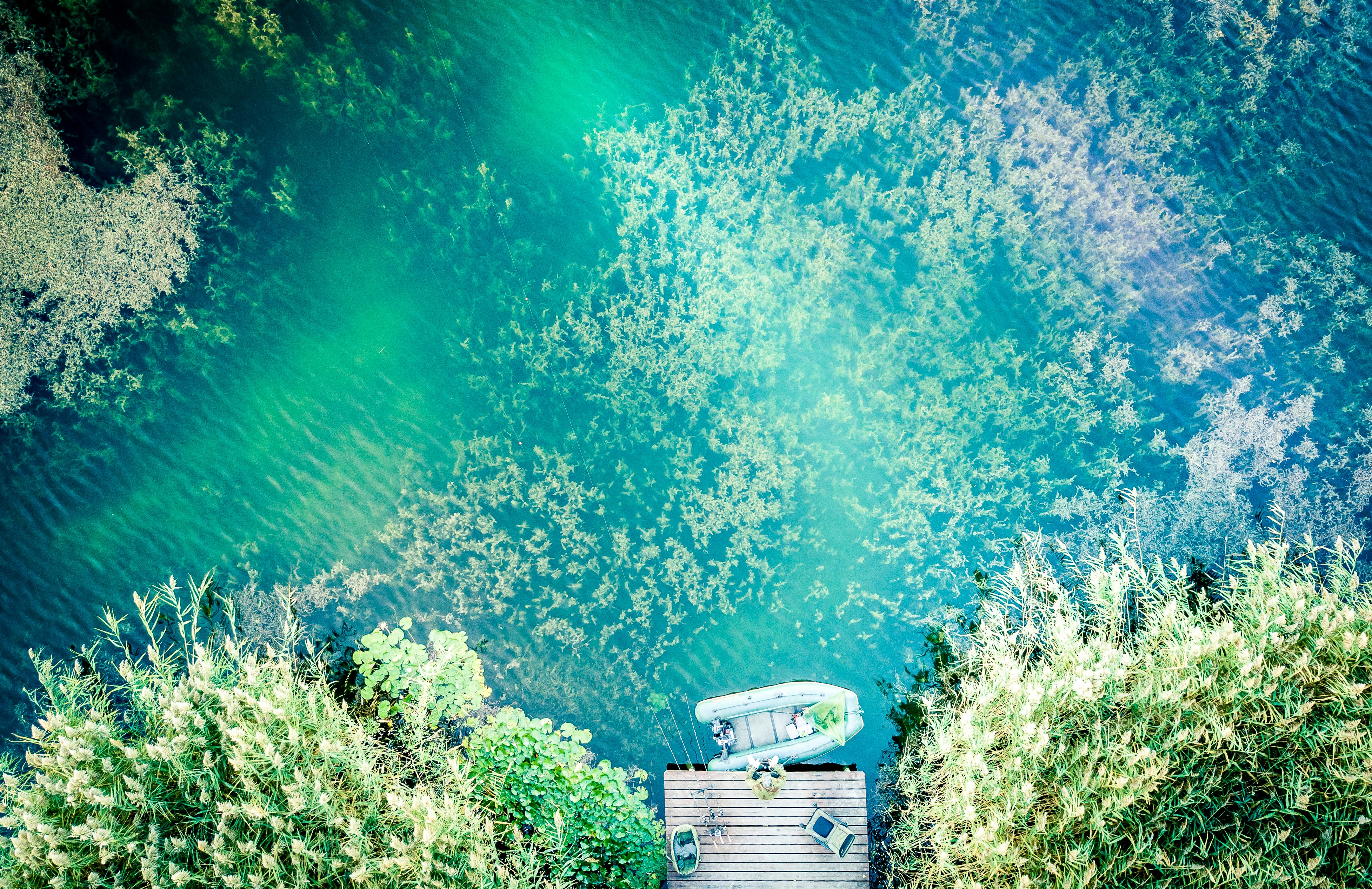 a bench sitting on top of a lush green hillside