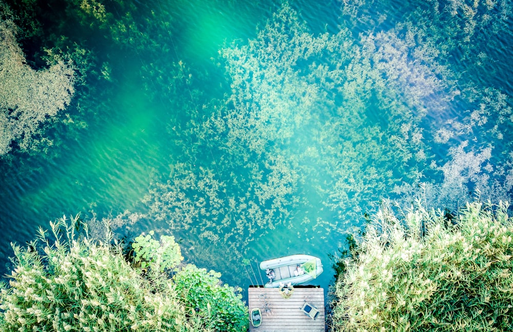 a bench sitting on top of a lush green hillside