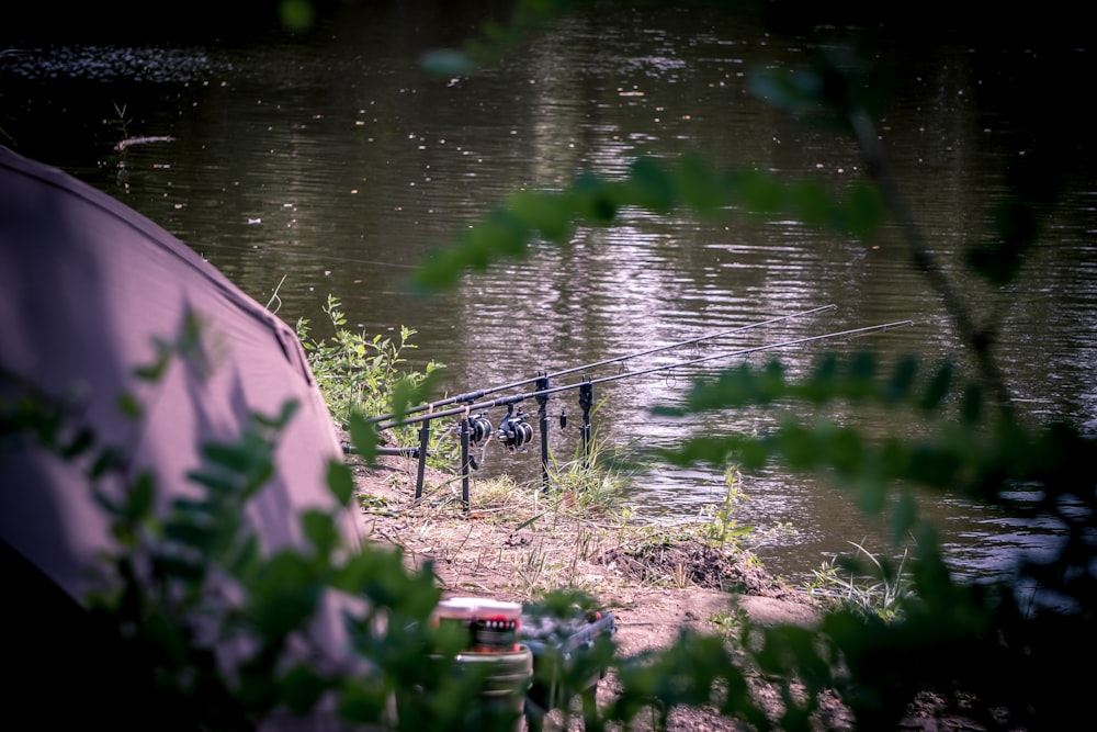 a boat sitting on top of a river next to a lush green forest