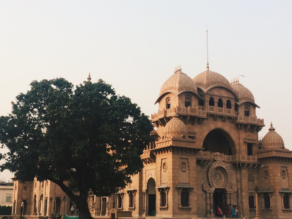 a large building with a tree in front of it