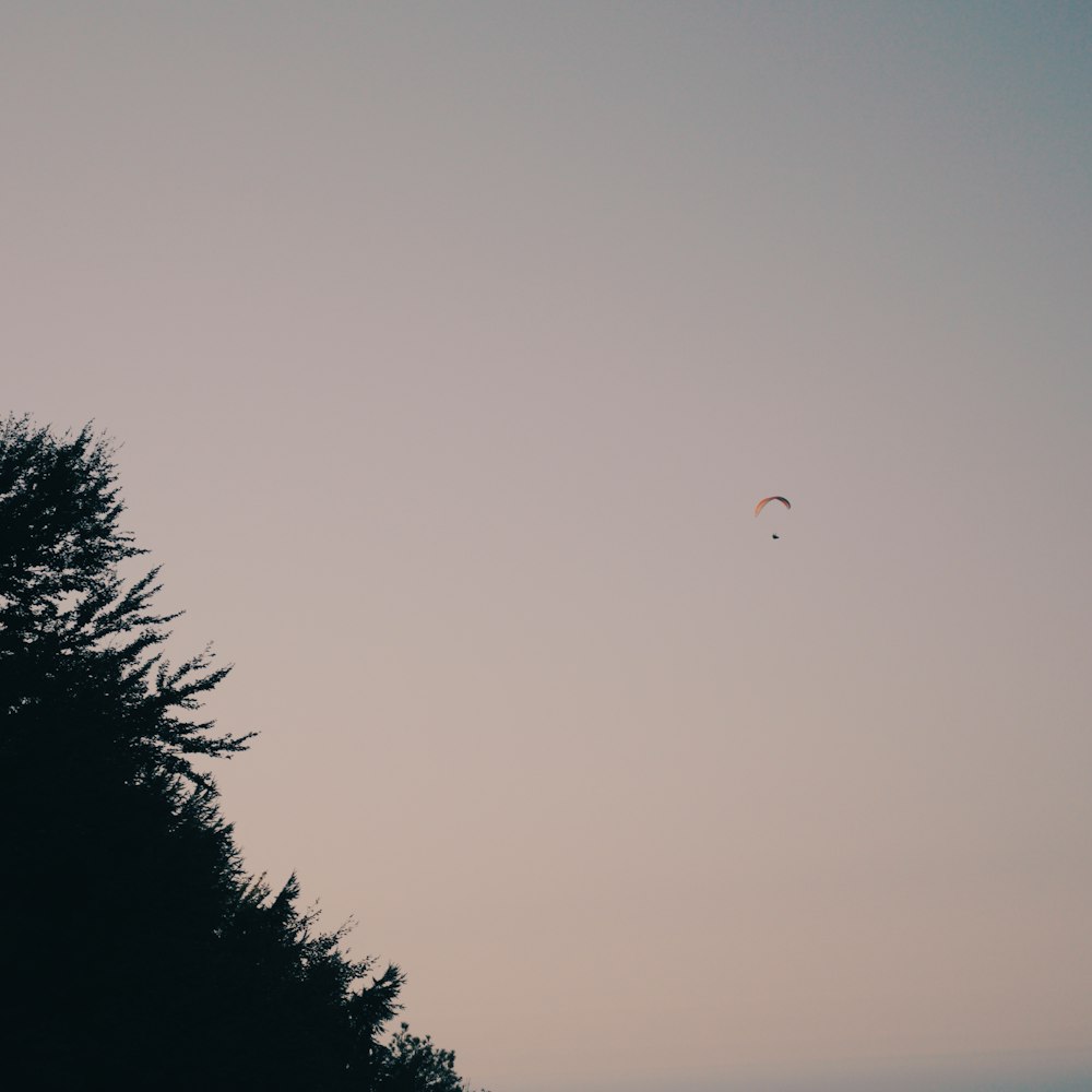 凧が空高く飛んでいる