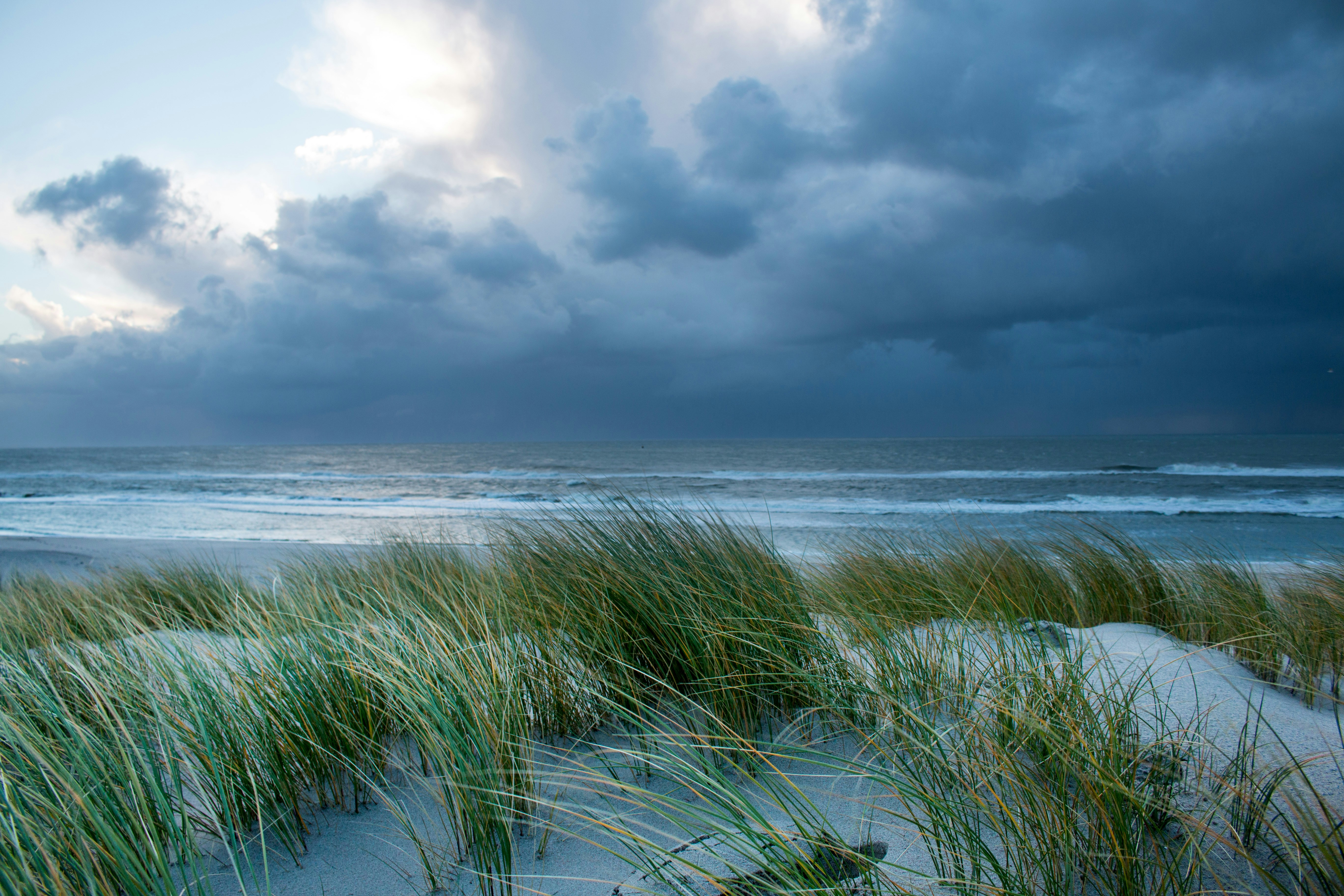 Photo by untitledphoto