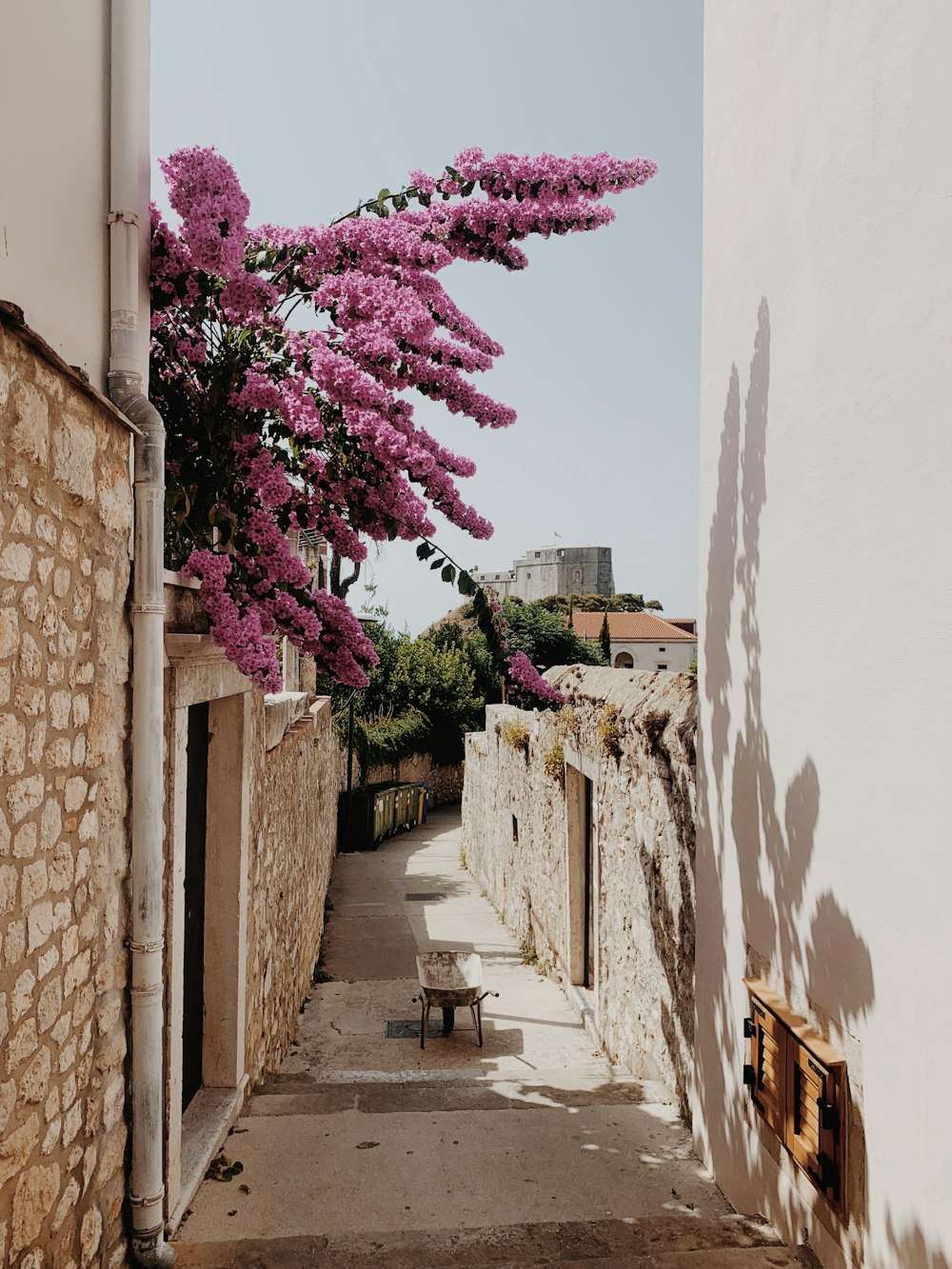 a narrow alley with a bench and flowering tree