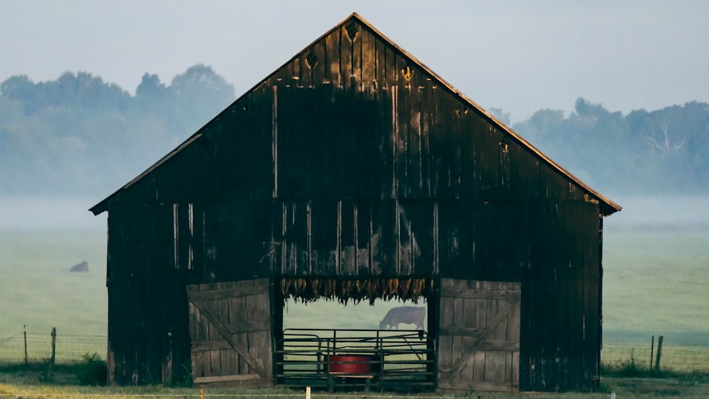 une grange avec un cheval dans l’embrasure de la porte