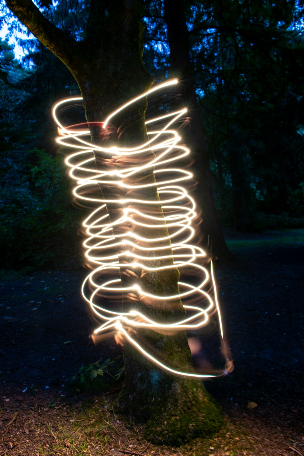 a light painting of a spiral on a tree trunk