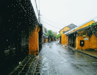 a wet street with yellow buildings and trees