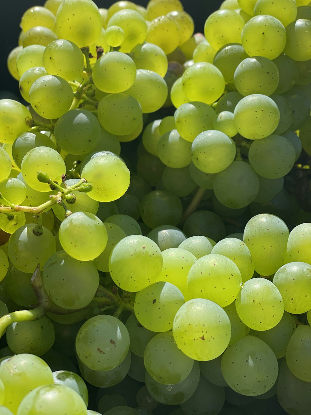 a close up of a bunch of green grapes