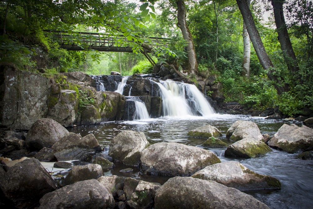 a small waterfall in the middle of a forest