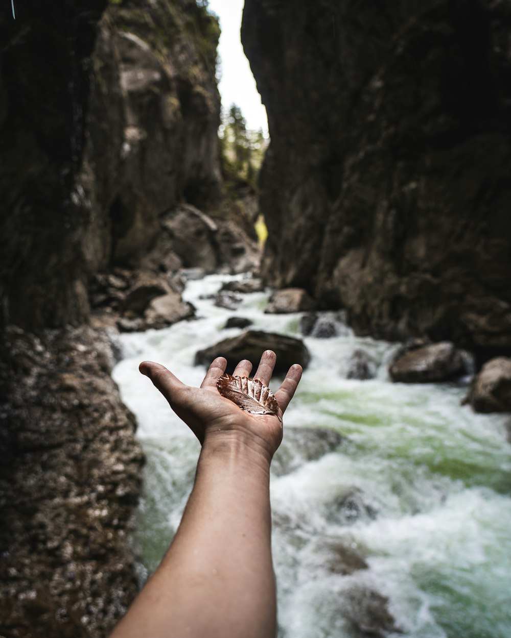 a person holding their hand out in front of a river