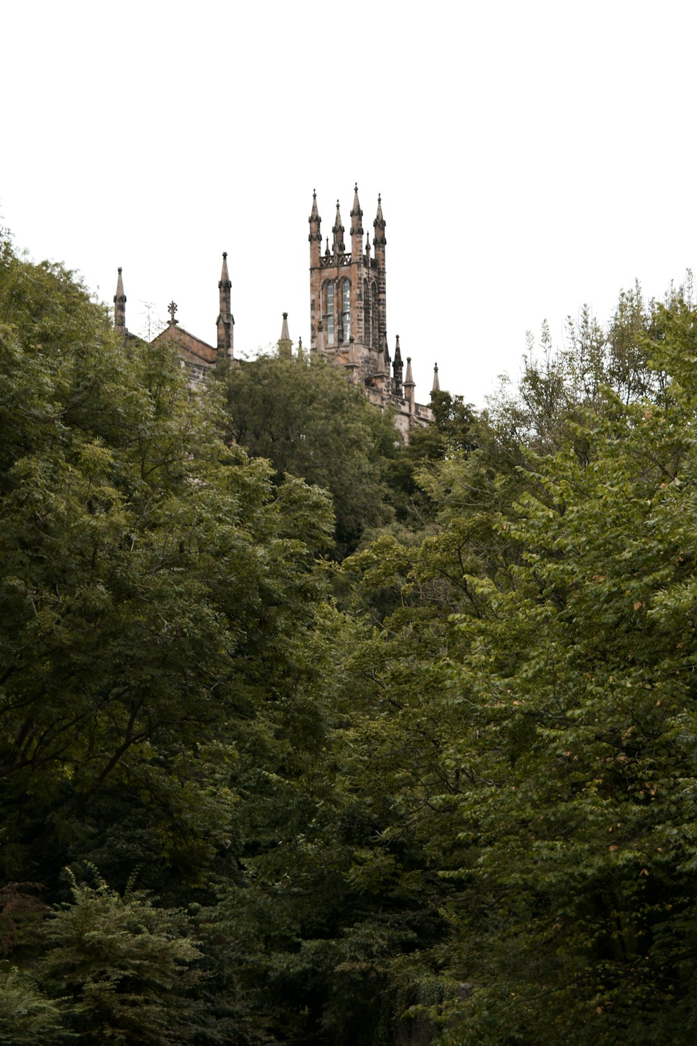 a large clock tower towering over a lush green forest