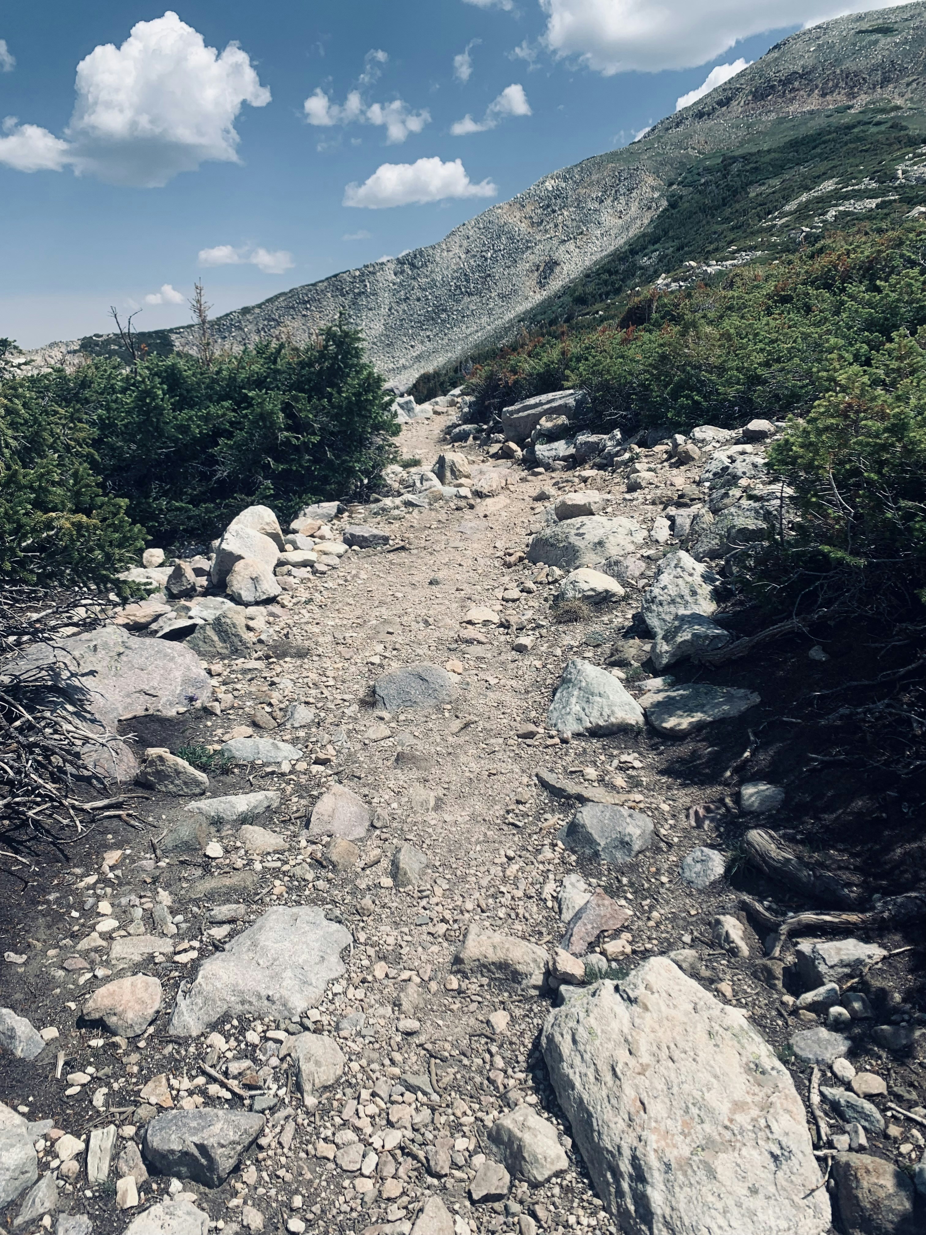 Trail Tour Alicante Diciembre 2025