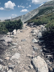 A rocky mountain trail winds through a rugged landscape. Low green shrubs line the path, with a mountain slope rising in the background under a partly cloudy sky.