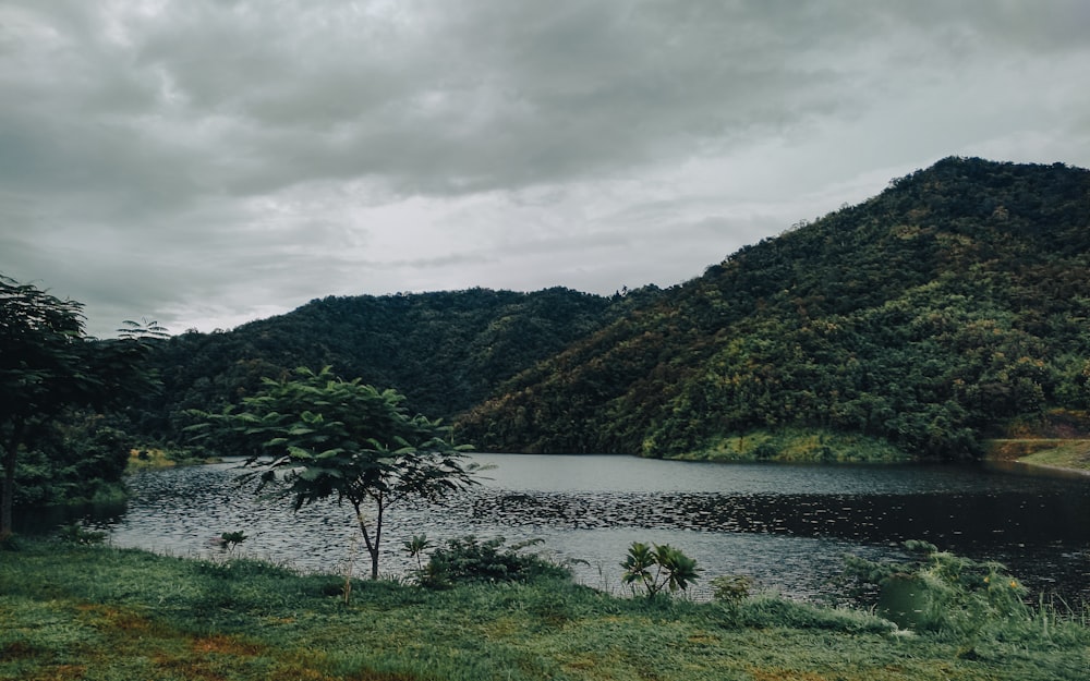 a body of water surrounded by a lush green hillside