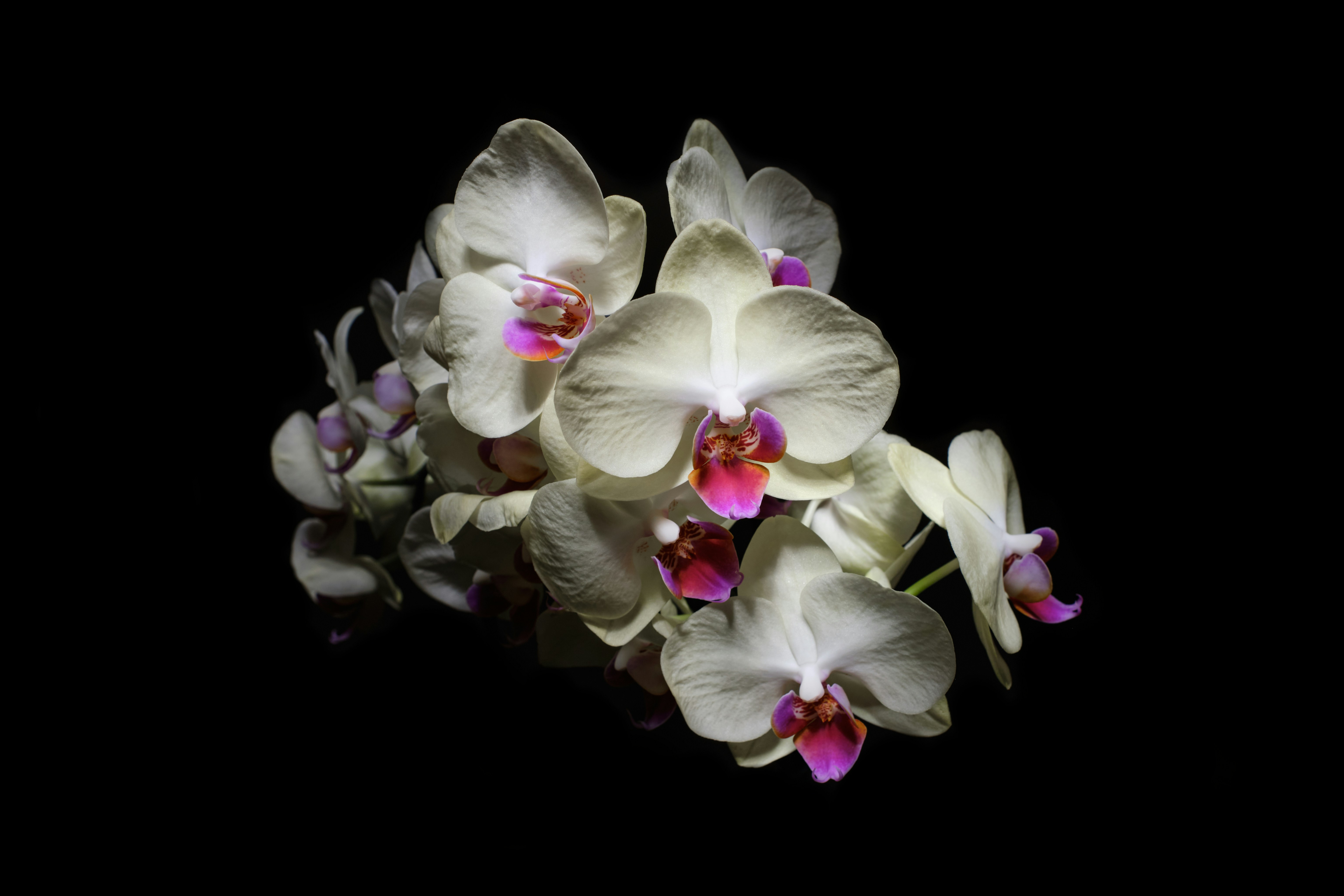 Photo by lorenzoantonelli