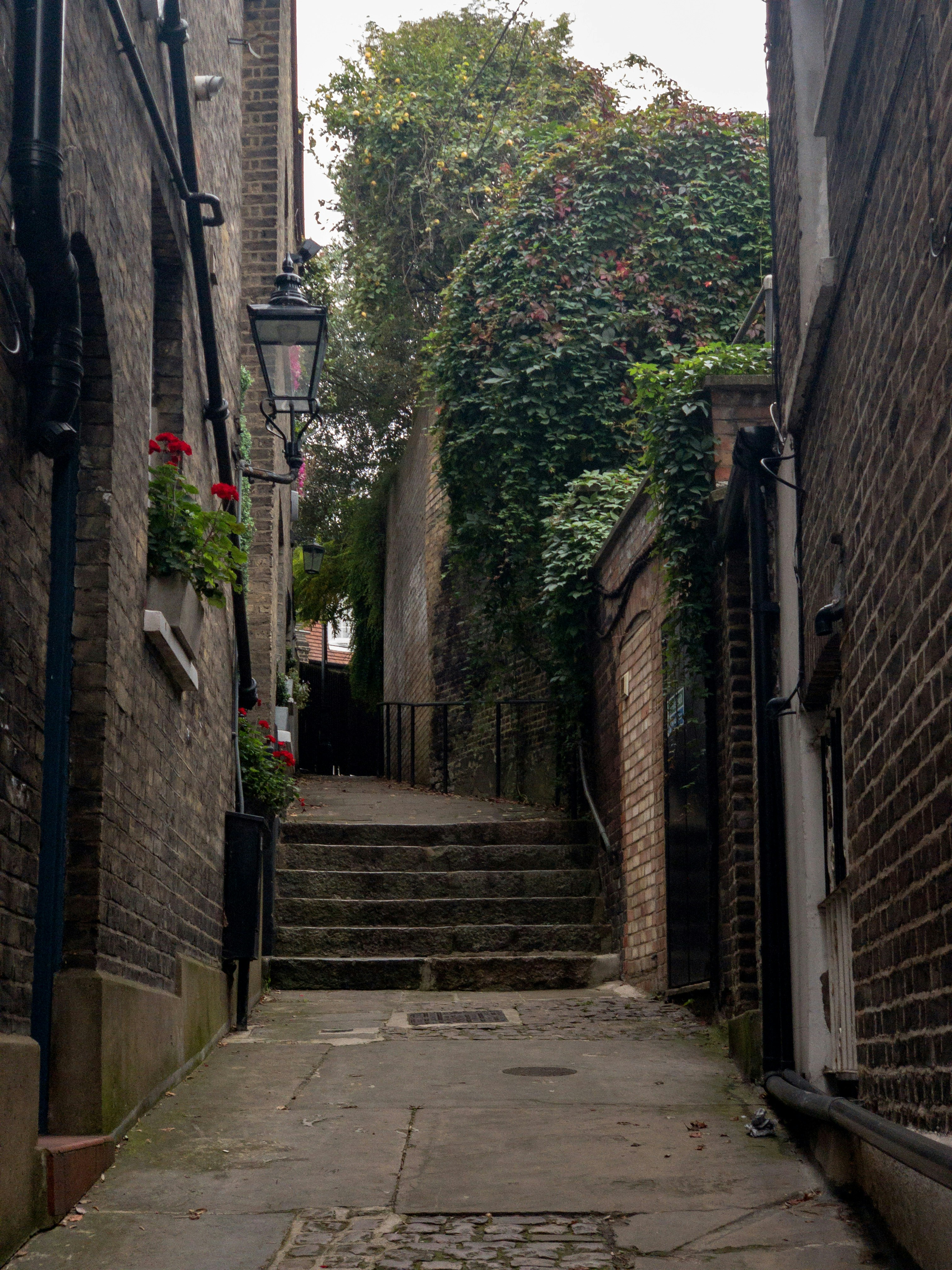 Photo by brett_jordan