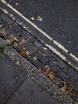 A close-up view of a street curb with cobblestones, fallen leaves, and a double yellow line marking on the asphalt road. The area is composed of rough textures from the road and the cobblestones, contrasted with scattered leaves of various autumn colors.