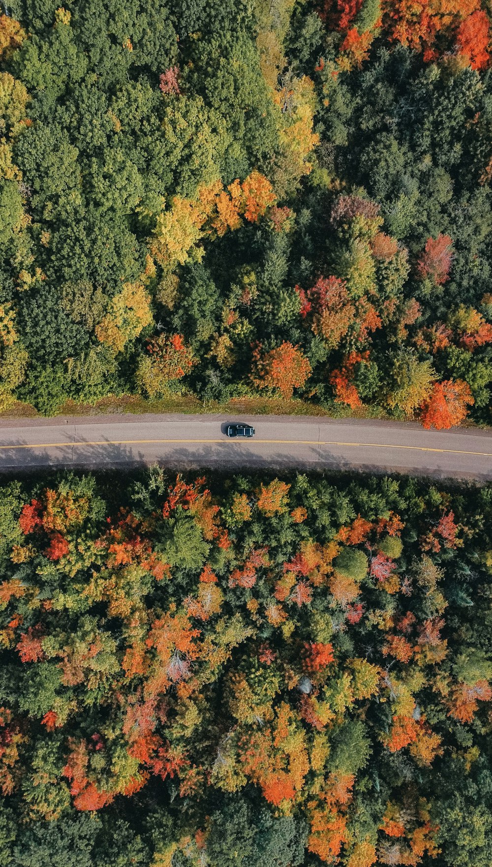 a car driving down a road surrounded by trees