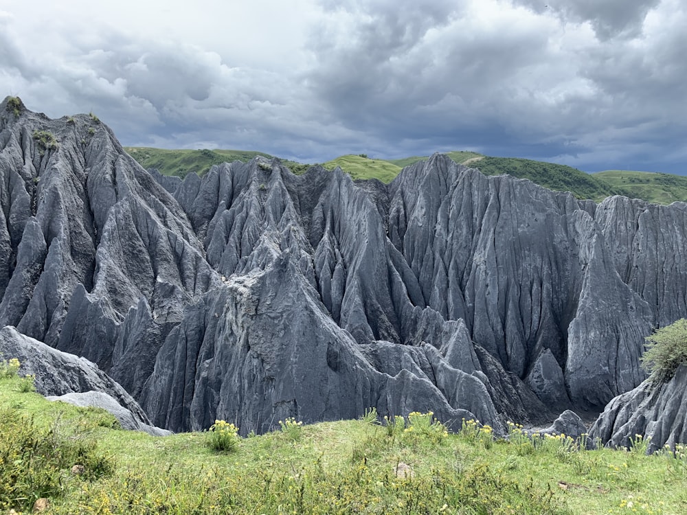 a mountain range with a tree in the foreground