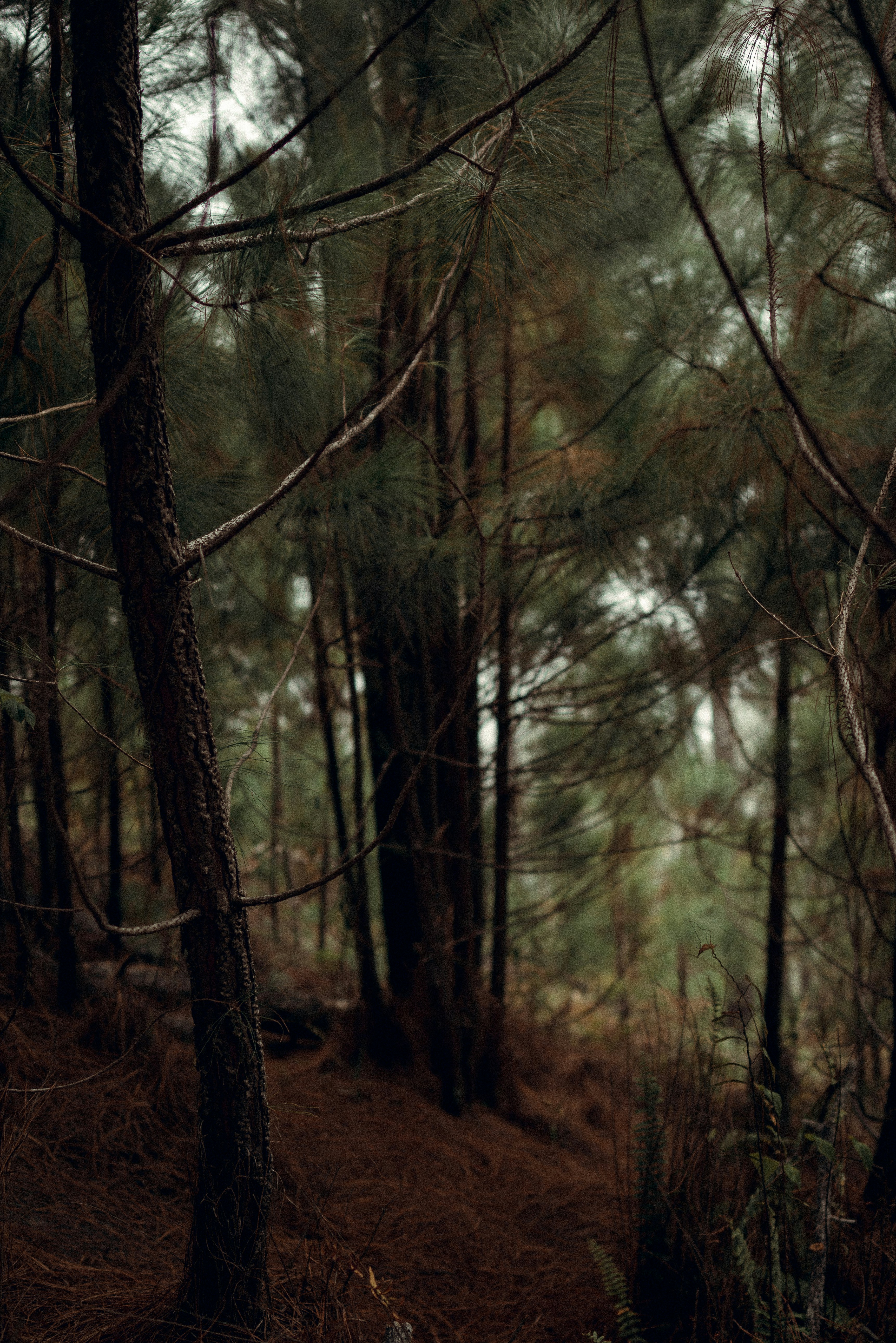 Photo by bettertogether_co