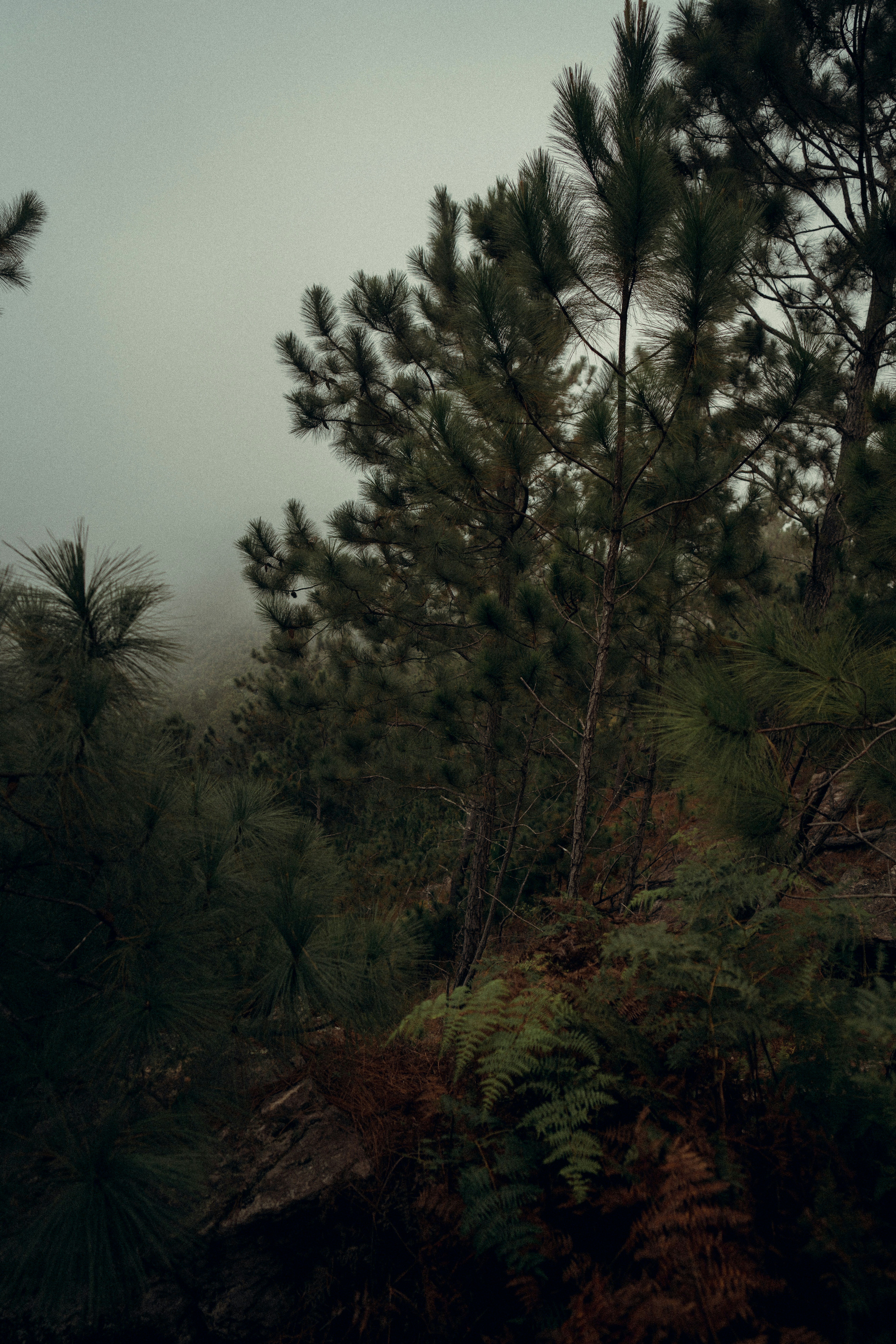 Photo by bettertogether_co