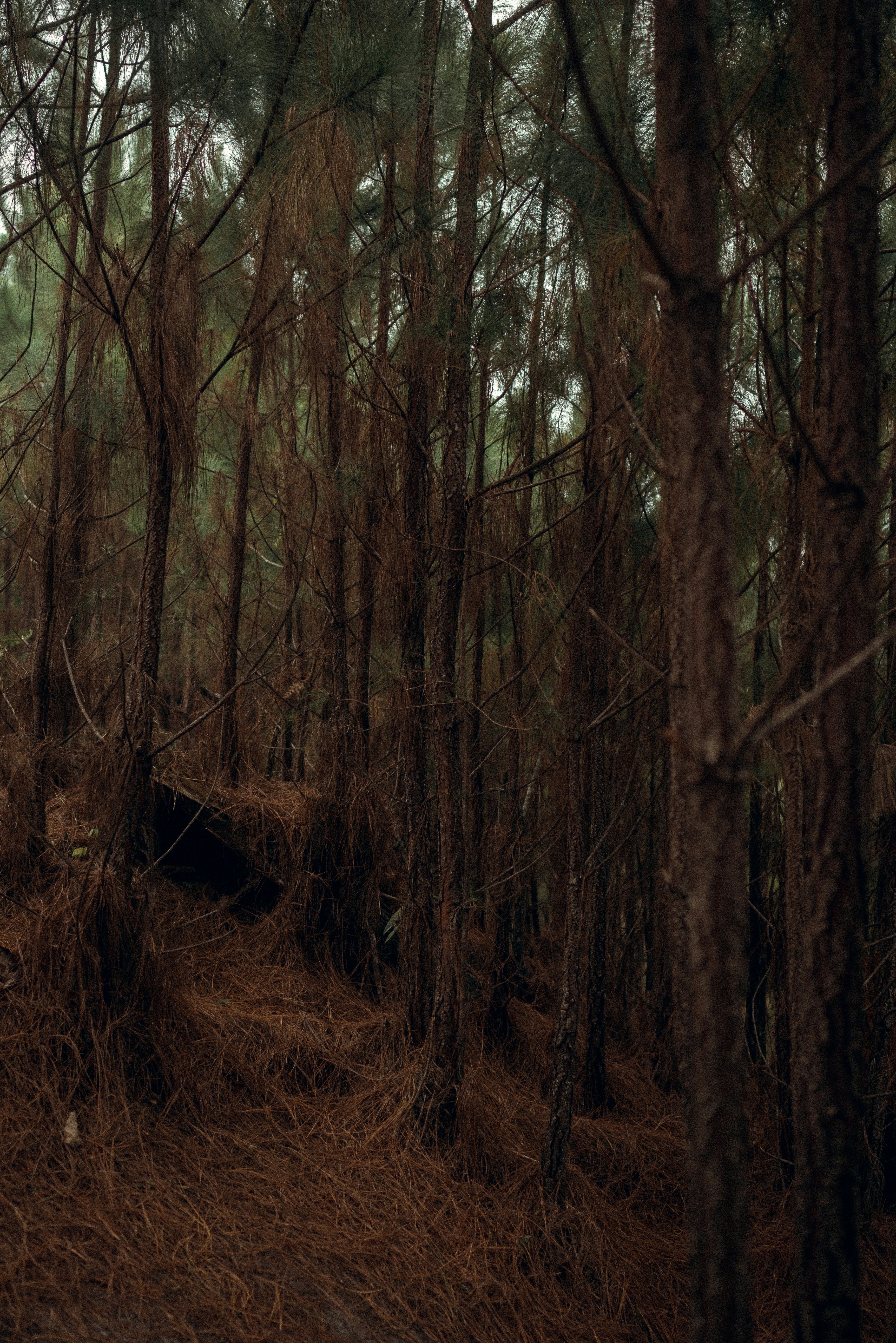 Photo by bettertogether_co